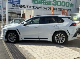 TOYOTA RAV4 G Z PACKAGE 2019 full