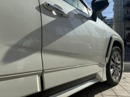 TOYOTA RAV4 G Z PACKAGE 2019 full