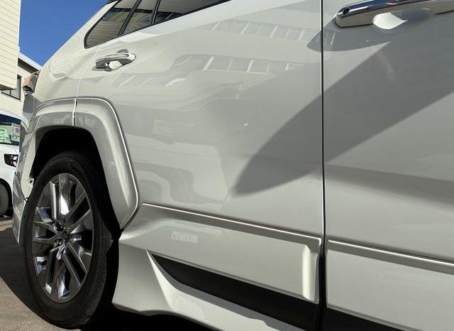 TOYOTA RAV4 G Z PACKAGE 2019 full