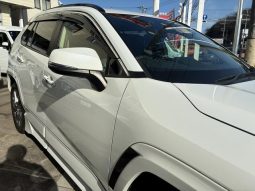 TOYOTA RAV4 G Z PACKAGE 2019 full