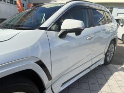 TOYOTA RAV4 G Z PACKAGE 2019 full