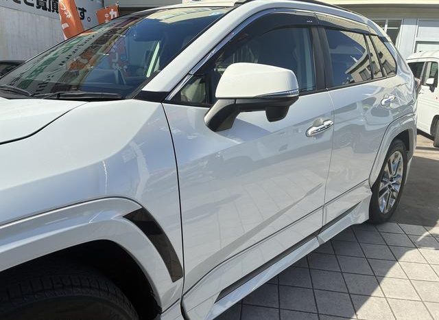 TOYOTA RAV4 G Z PACKAGE 2019 full