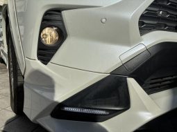 TOYOTA RAV4 G Z PACKAGE 2019 full