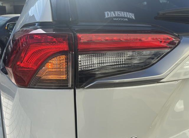 TOYOTA RAV4 G Z PACKAGE 2019 full