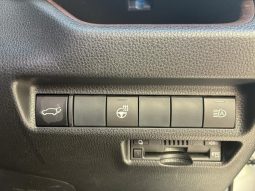 TOYOTA RAV4 G Z PACKAGE 2019 full