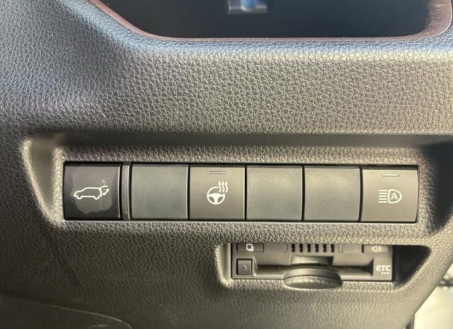 TOYOTA RAV4 G Z PACKAGE 2019 full