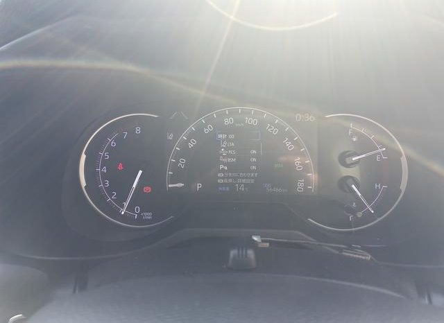 TOYOTA RAV4 G Z PACKAGE 2019 full