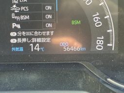 TOYOTA RAV4 G Z PACKAGE 2019 full