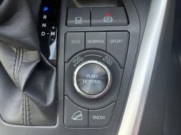 TOYOTA RAV4 G Z PACKAGE 2019 full