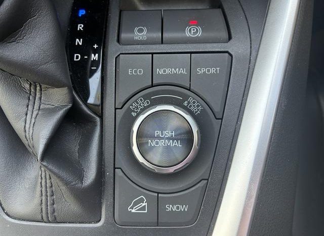 TOYOTA RAV4 G Z PACKAGE 2019 full