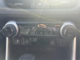 TOYOTA RAV4 G Z PACKAGE 2019 full