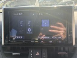 TOYOTA RAV4 G Z PACKAGE 2019 full