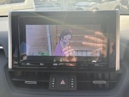 TOYOTA RAV4 G Z PACKAGE 2019 full