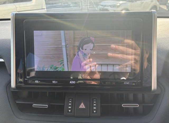 TOYOTA RAV4 G Z PACKAGE 2019 full