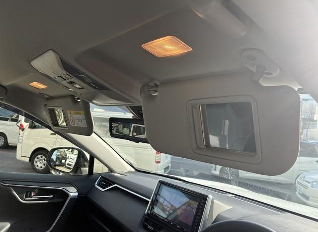 TOYOTA RAV4 G Z PACKAGE 2019 full