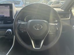 TOYOTA RAV4 G Z PACKAGE 2019 full