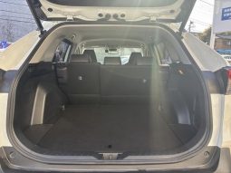 TOYOTA RAV4 G Z PACKAGE 2019 full