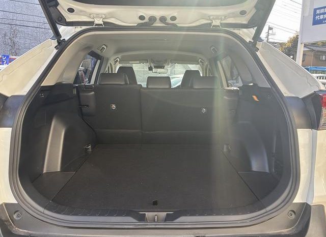 TOYOTA RAV4 G Z PACKAGE 2019 full