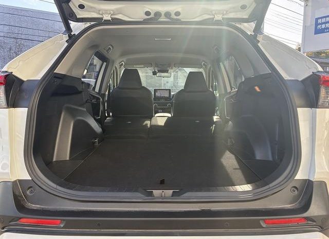 TOYOTA RAV4 G Z PACKAGE 2019 full