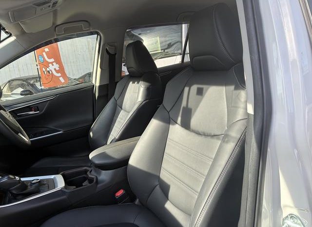 TOYOTA RAV4 G Z PACKAGE 2019 full