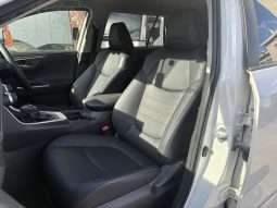 TOYOTA RAV4 G Z PACKAGE 2019 full