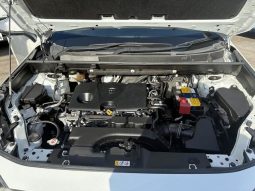 TOYOTA RAV4 G Z PACKAGE 2019 full