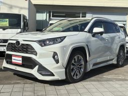 TOYOTA RAV4 G Z PACKAGE 2019 full