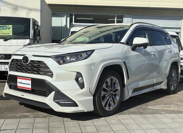 TOYOTA RAV4 G Z PACKAGE 2019 full