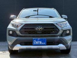TOYOTA RAV4 ADVENTURE 2020 full