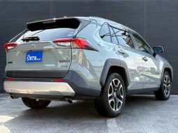 TOYOTA RAV4 ADVENTURE 2020 full