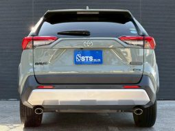 TOYOTA RAV4 ADVENTURE 2020 full