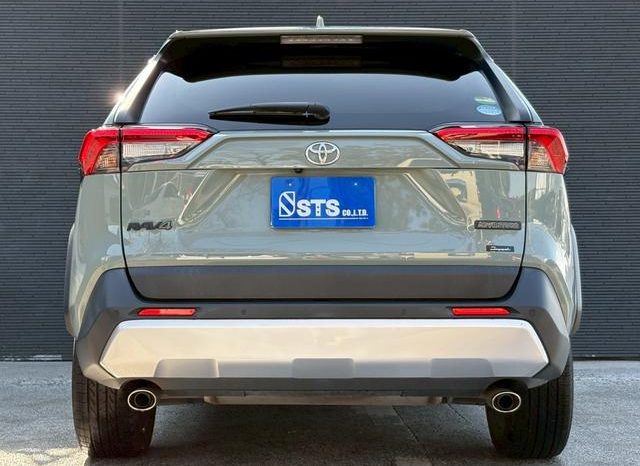 TOYOTA RAV4 ADVENTURE 2020 full