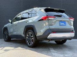 TOYOTA RAV4 ADVENTURE 2020 full