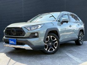 TOYOTA RAV4 ADVENTURE 2020