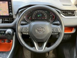 TOYOTA RAV4 ADVENTURE 2020 full