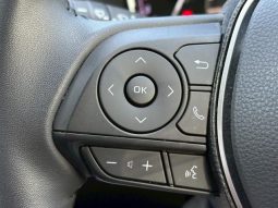 TOYOTA RAV4 ADVENTURE 2020 full