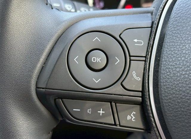 TOYOTA RAV4 ADVENTURE 2020 full