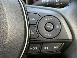 TOYOTA RAV4 ADVENTURE 2020 full