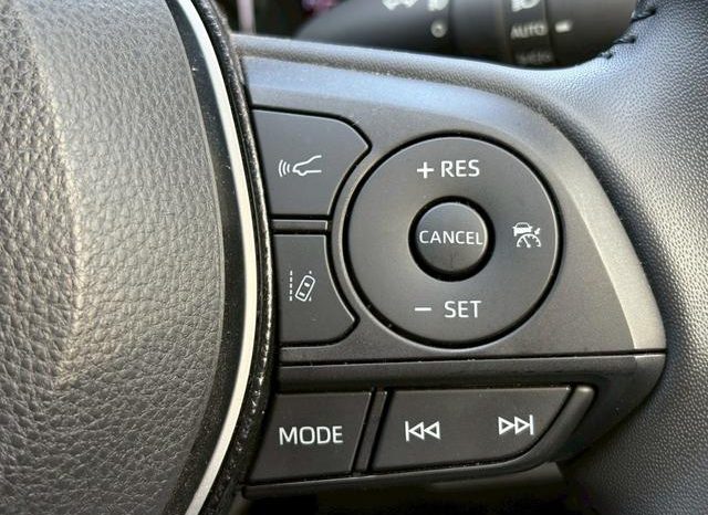 TOYOTA RAV4 ADVENTURE 2020 full