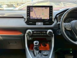 TOYOTA RAV4 ADVENTURE 2020 full