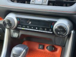 TOYOTA RAV4 ADVENTURE 2020 full