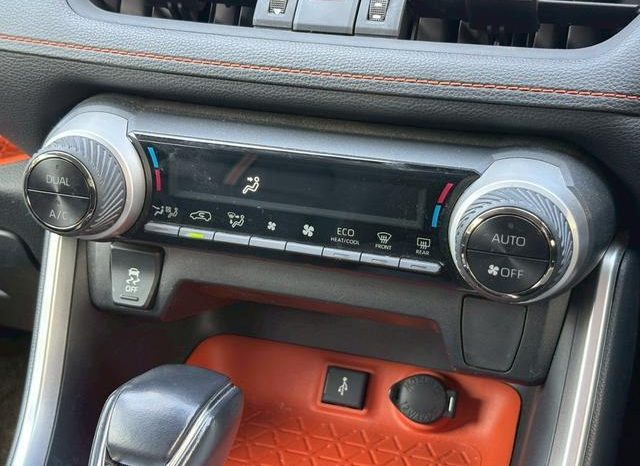 TOYOTA RAV4 ADVENTURE 2020 full