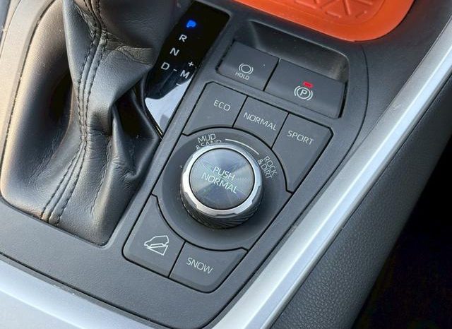 TOYOTA RAV4 ADVENTURE 2020 full