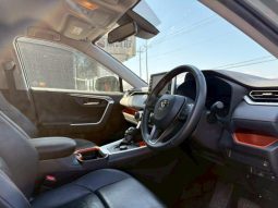 TOYOTA RAV4 ADVENTURE 2020 full