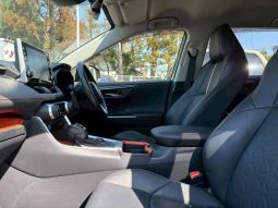 TOYOTA RAV4 ADVENTURE 2020 full