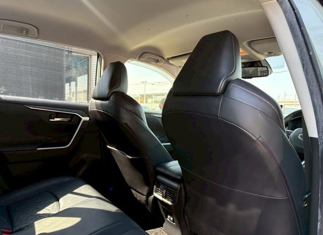 TOYOTA RAV4 ADVENTURE 2020 full