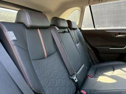 TOYOTA RAV4 ADVENTURE 2020 full