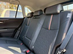 TOYOTA RAV4 ADVENTURE 2020 full