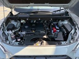 TOYOTA RAV4 ADVENTURE 2020 full