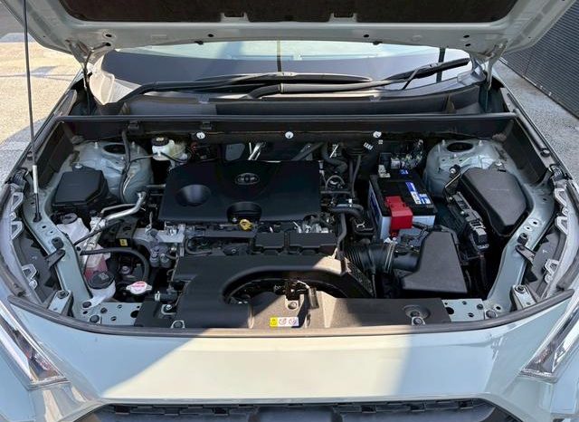 TOYOTA RAV4 ADVENTURE 2020 full